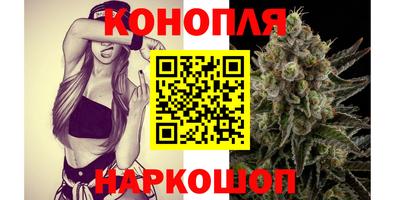 кокс Можга