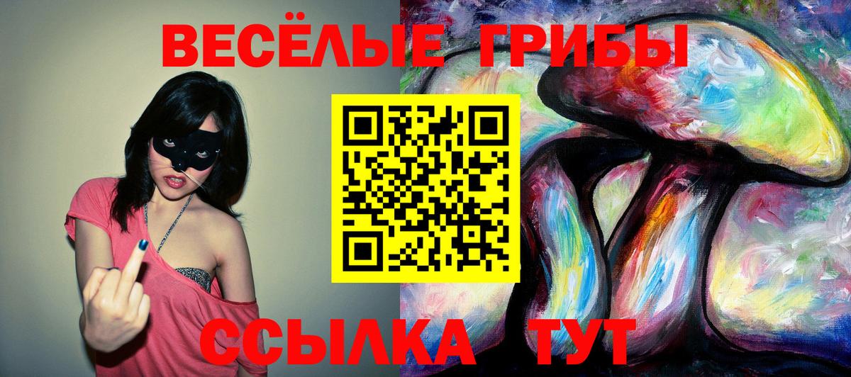 Псилоцибиновые грибы мицелий Саянск