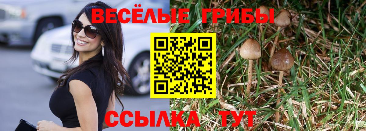 Галлюциногенные грибы мицелий  Галлюциногенные грибы MAGIC MUSHROOMS  Саянск  Вход с VPN 